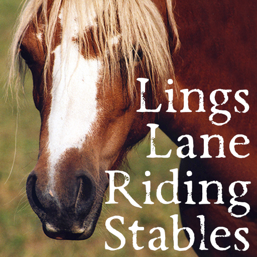 Lings Lane Riding Stables